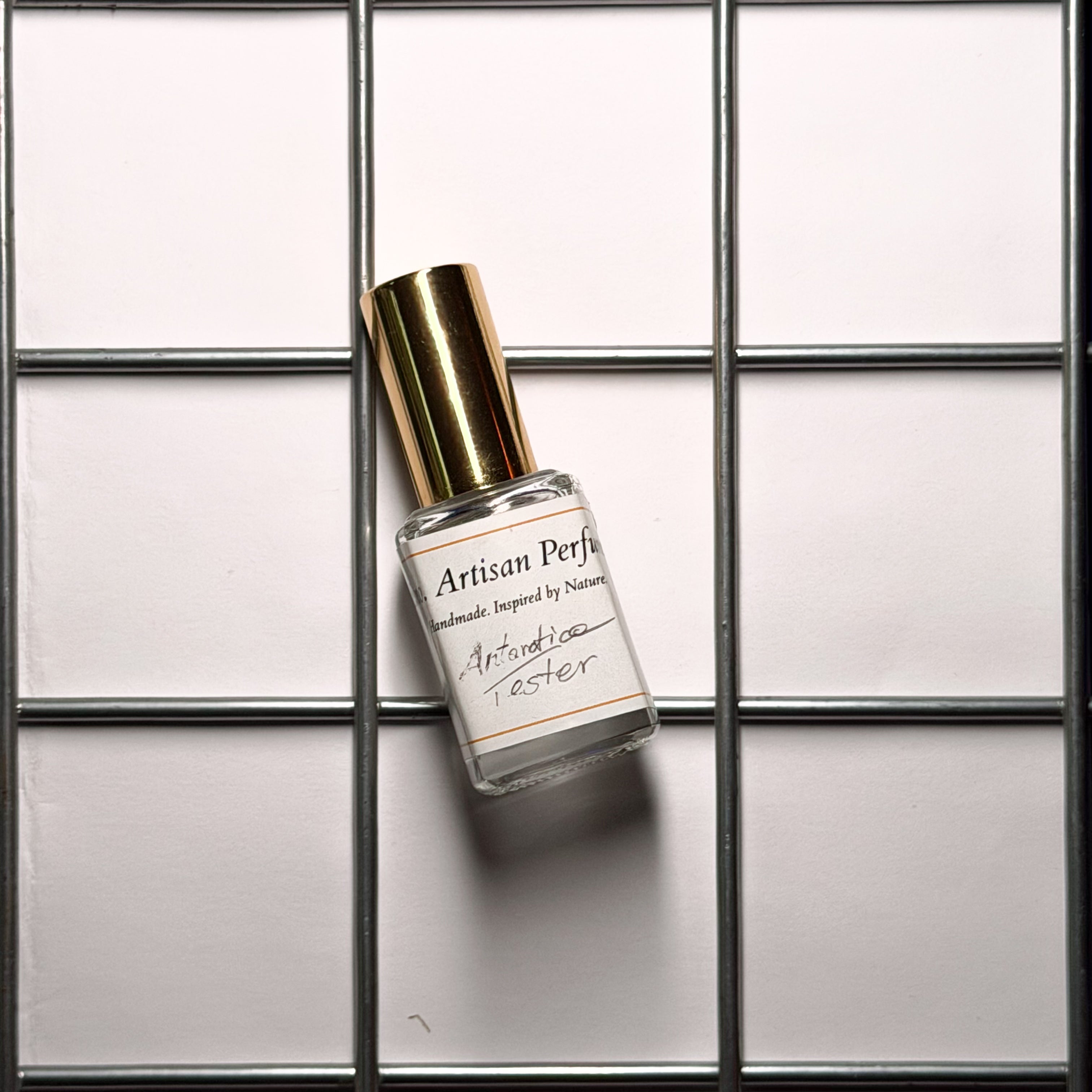 ETNO. — Antarctica